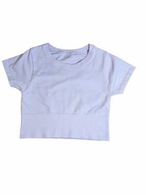 Offline by aerie Crop Tee - light purple - size Small